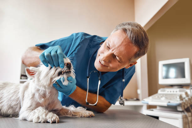 Best Emergency Root Canal Treatment in Manhattan, NY